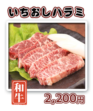 いちおしハラミ